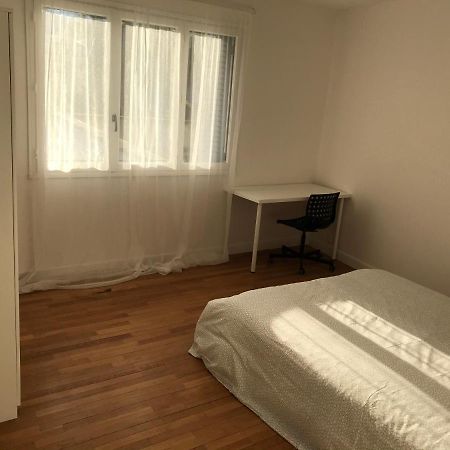 Grenoble Joli Appartement Ngoại thất bức ảnh