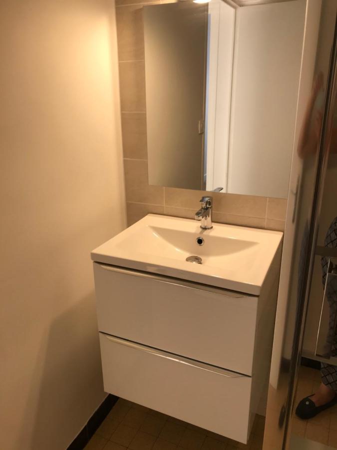 Grenoble Joli Appartement Ngoại thất bức ảnh